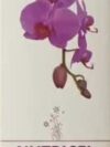 Nutricel Skin Lightening Moisturizer